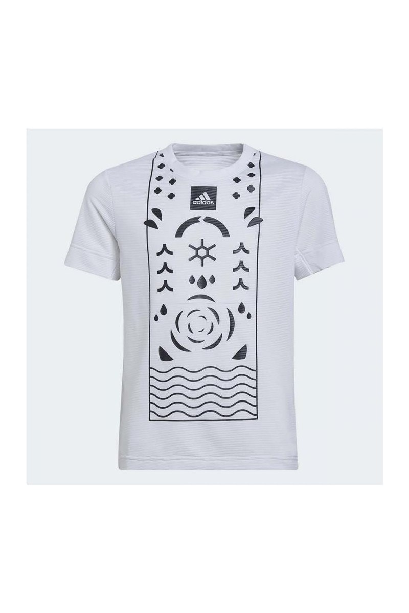 Tee Shirt Adidas Boys Q2  Ha1356