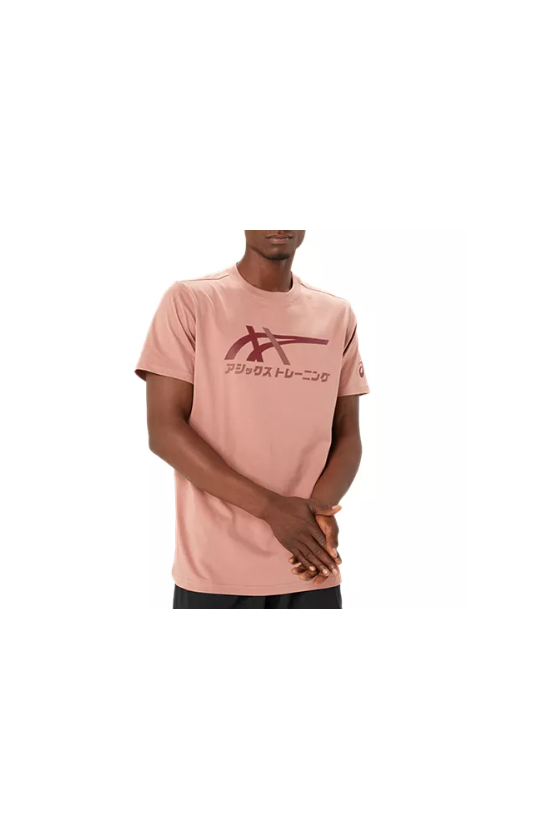 Tee Shirt Asics Tiger Men 2031D123/602